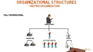 Organizational structures in project management [upl. by Juta224]