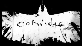 Corvidae  Hexenjagd Official Video [upl. by Mencher]