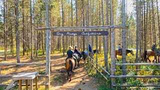 Dry Ridge Outfitters Trail Ride  Harriman State Park Horse Riding [upl. by Ohs960]