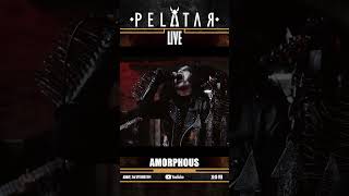 Teaser Amorphous  PELATAR LIVE [upl. by Acired]