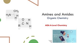 Amines and Amides Organic chemistry A level AQA Chemistry [upl. by Ulane]