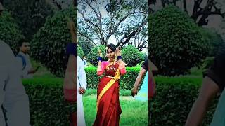 টুট জায়ে রাজাজি video setab music viralvideo trending youtube top videodance [upl. by Dionisio]