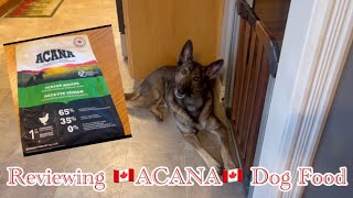 🇨🇦 ACANA 🇨🇦 Canadian Made Dry Dog Food Review [upl. by Nerol750]