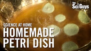 The Sci Guys Science at Home  SE2  EP3 Homemade Petri Dish  Growing Bacteria at Home [upl. by Ki]