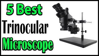 TOP 5 Best Trinocular Microscope Review 2024  Aliexpress [upl. by Phelia]