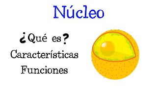 🌐 ¿Qué es el Núcleo 💥 Características y Funciones Fácil y Rápido  BIOLOGÍA [upl. by Lesser]