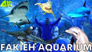 Aquarium In Saudi Arabia  Fakieh Aquarium In Jeddah  Aquarium Fish  Jeddah Saudi Arabia 4K Video [upl. by Maxima987]