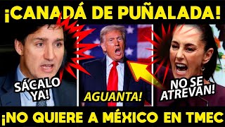 ¡CANADA NOS APUÑALA POR LA ESPALDA QUIEREN SACAR A MX DEL TRATADO [upl. by Karleen247]