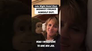 Monkey Freaks Himself Out [upl. by Assir]