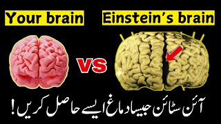 How Einsteins BRAIN was unique Einsteins brain vs normal brainEinsteins brain stolen story [upl. by Leelah]