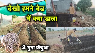 देखो हमने बेड में क्या डाला  VermiCompost Business in india  organicfertilize [upl. by Beesley596]