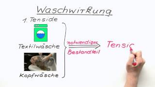 Die Waschwirkung  Chemie  Organische Verbindungen – Eigenschaften und Reaktionen [upl. by Crispa]