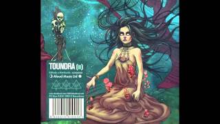 Toundra  Requiem [upl. by Faustina209]