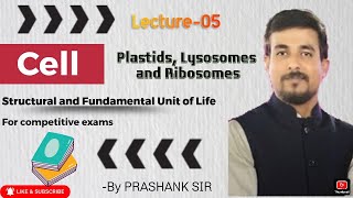 PLASTIDS LISOSOMES AND RIBOSOMES [upl. by Aeli]