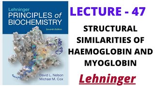 Haemoglobin and Myoglobin similarities lecture  47 CSIR NET IIT JAM  Biotech Life Science [upl. by Pradeep]