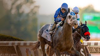 Live Horse Racing Stream FREE [upl. by Secrest]