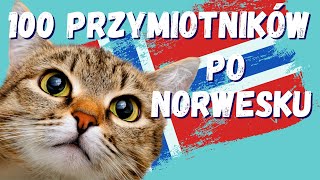 100 najczęściej używanych PRZYMIOTNIKÓW po NORWESKU [upl. by Oleusnoc]