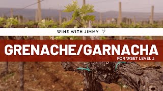 Grape Varieties GarnachaGrenache for WSET Level 2 [upl. by Hailed]