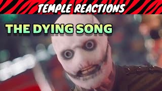 Music Teacher Reaction  Slipknot  The Dying Song [upl. by Alius]