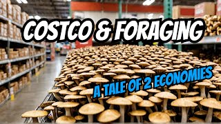 Costco vs Foraging The tale of 2 economies [upl. by Urbanus]