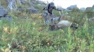 British Columbia Elk Hunting [upl. by Erminia]