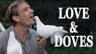 Love and Doves with english subtitles [upl. by Yetty]