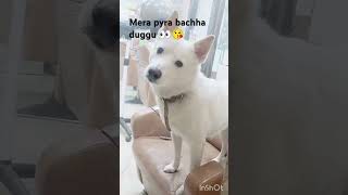 Itni si hasi itni si Khushi  beautiful mera pyra bachha duggu 👀😘 short video  trending video❣️🫰 [upl. by Udell]