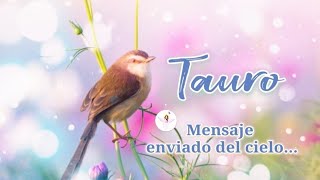 Tauro 🦋 Mensaje enviado del cielo [upl. by Dix]