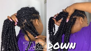 Passion Twist Takedown  Tips On Maintenance  How To Remove Passion Twist  Kinzey Rae [upl. by Jaynell267]