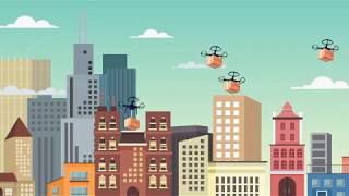 Flytrex drone delivery  user experience [upl. by Aerdied]