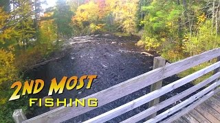 Spinning for Trout on the Peshtigo River at McClintock County Park [upl. by Ateekan]