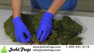 Joshs Frogs Sheet Moss and Mood Moss Care and Uses for Container and Fairy Gardens [upl. by Novyad]