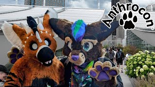 Anthrocon 2024 Con Video Anthrocoaster [upl. by Eirot]