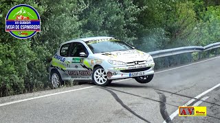 Subida Vega de Espinareda 2024  Mistakes amp Drift  AVRacing crash hillclimbracing rally [upl. by Mot]