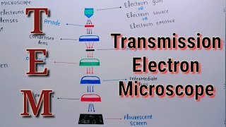 Transmission Electron Microscope Parts And Functions  Chapter 4  Biology Class 9th  Lec 6 [upl. by Iot]