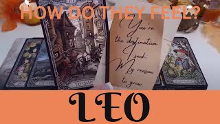 LEO♌ ❤️‍🔥🤯THEY ONLY WANT YOU❤️‍🔥THIS IS MOVING FORWARD❤️‍🔥LEO LOVE TAROT❤️‍🔥 [upl. by Wiencke]