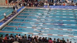 Emma Sticklen goes 518 100 FlyState Record  Girls 100 Fly A Final  2019 UIL 6A State [upl. by Leupold327]