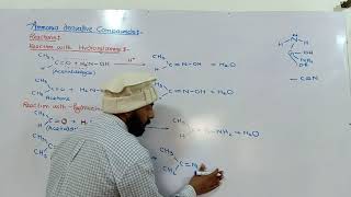 Ammonia derivative reactions  hydroxylamine amp hydrazine with carbonyl compound  12th class ch12 [upl. by Labaw]