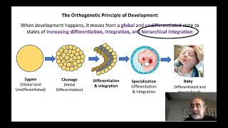 The Orthogenetic Principle of Development [upl. by Alamat29]