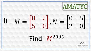 Matrix2005 from the AMATYC 2005 exam [upl. by Yenobe736]