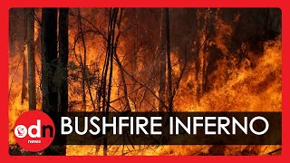 Australia Bushfires How Fast Do They Spread [upl. by Siol]