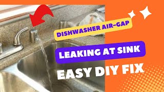 ✨ DISHWASHER DRAINS WATER AT AIR GAP  EASY FIX ✨ [upl. by Adnav]