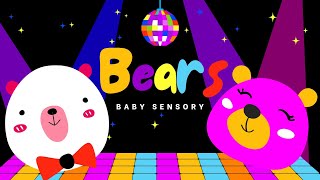 Bear Boogie Bliss Colorful Dancing Bear Sensory Disco  Sensory Videos for Babies [upl. by Moreland]