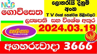 Govisetha 3666 today Result 20240319 lottery Today Results අද ගොවිසෙත Lotherai dinum anka 3666 NL [upl. by Herstein]