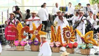 Sones y chilenas de San Pedro Pochutla  Guelaguetza 2016 [upl. by Yenrab]