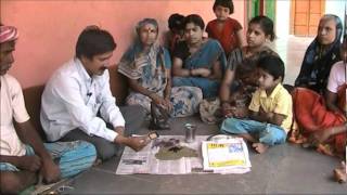 Seed treatment with trichoderma Kannada BAIF Karnataka [upl. by Bast]