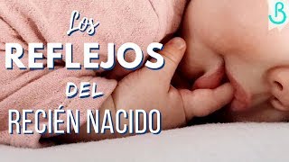 👶🏻👌🏻Los REFLEJOS del RECIÉN NACIDO  Baby Suite by Pau [upl. by Lyudmila]