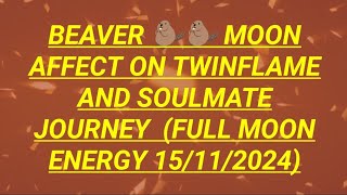 beaver moon affect on twinflame and soulmate journey full moon energy 15112024 [upl. by Mahsih170]