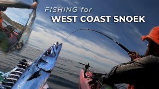 West Coast snoek fishing at Cape Point on a kayak  October 2021 [upl. by Cordey842]