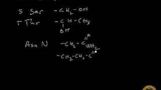 Amino Acids [upl. by Gerhard]